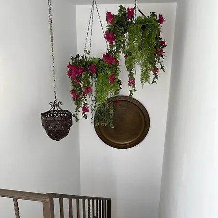 Loft Balcones De La Juderia Апартаменти Кордова