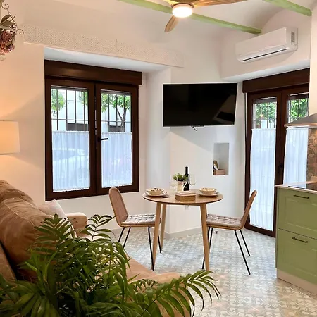 Loft Balcones De La Juderia Apartment