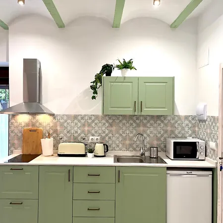 شقة Loft Balcones De La Juderia قرطبة